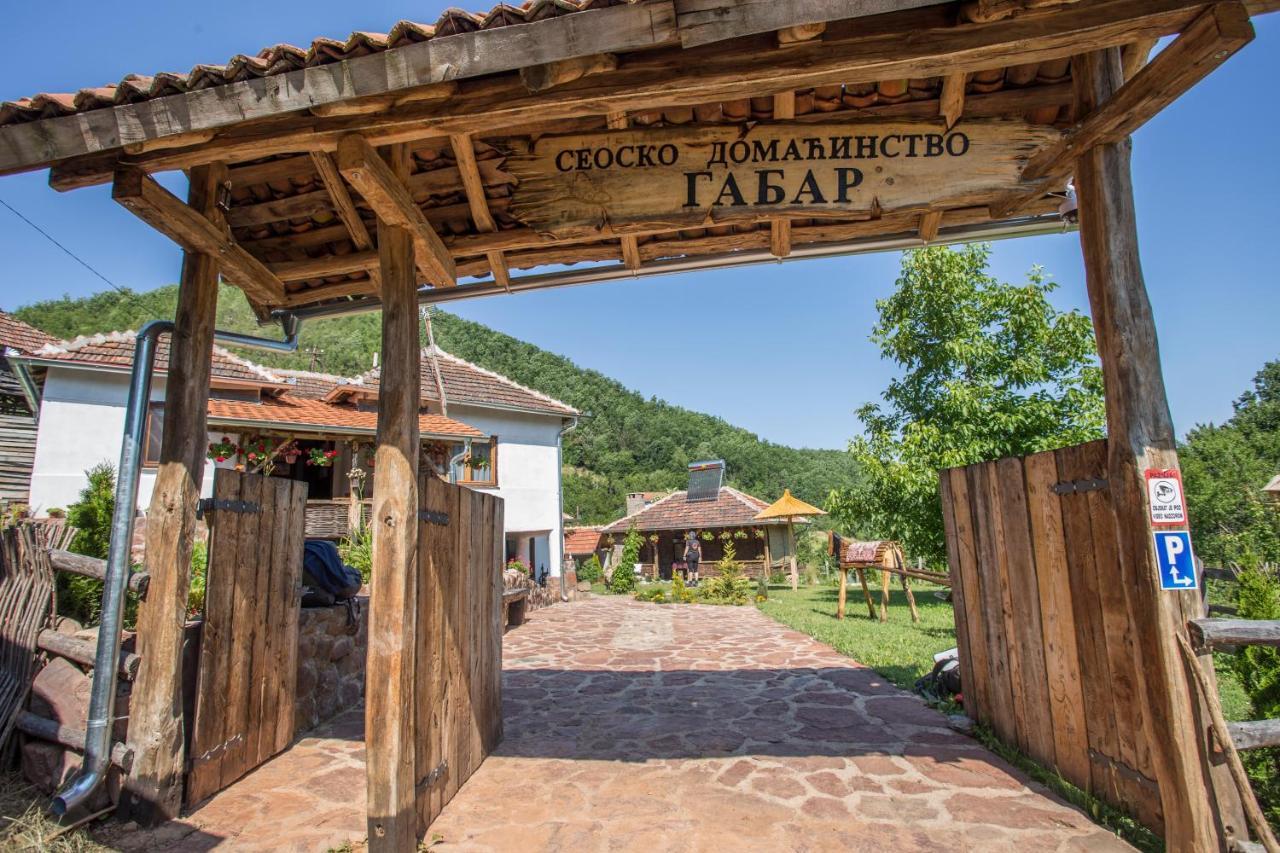 Seosko Domacinstvo „Gabar” Villa Custica Exterior photo